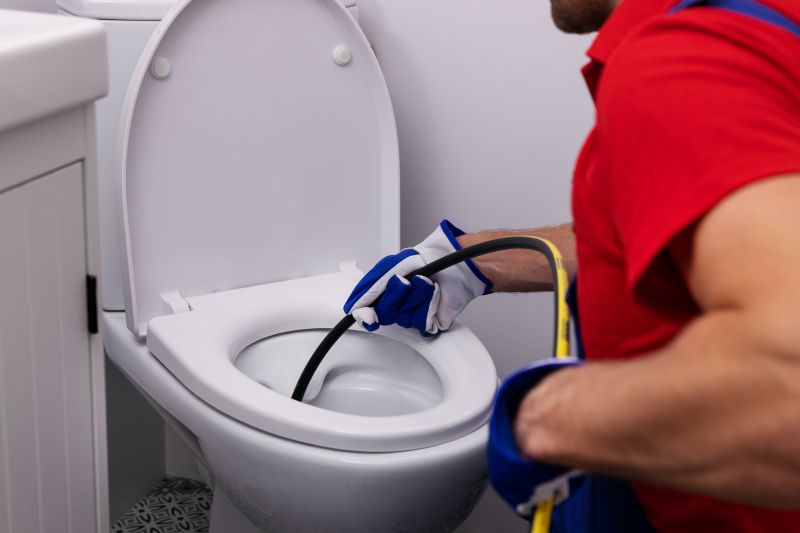 Toilet Repair detail