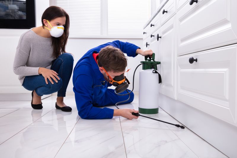 Spider Control Service